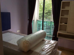 Shelford Suites (D11), Condominium #118029372
